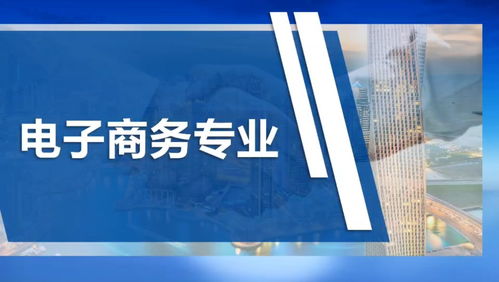 专业技能考试电子商务