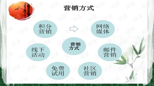 徐汇区专业电子商务业务
