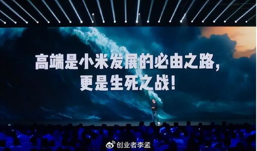 雷军感叹，没想到SU7事故打击如此之大，小米品牌形象再受重创