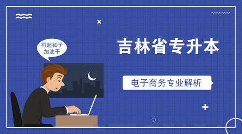 电子商务专业好升本科吗