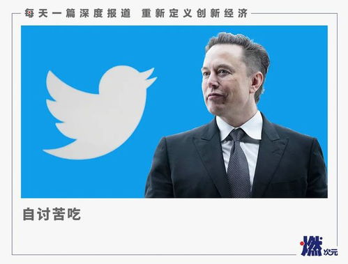 媒体：马斯克心心念念的美国党或成空